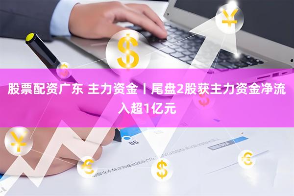 股票配资广东 主力资金丨尾盘2股获主力资金净流入超1亿元
